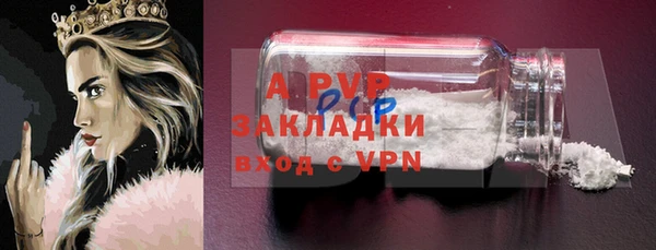 PSILOCYBIN Верхний Тагил