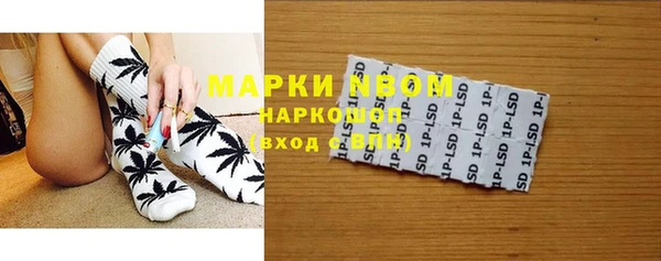 PSILOCYBIN Верхний Тагил