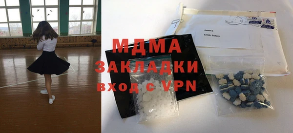 шишки Бородино