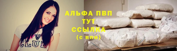 PSILOCYBIN Верхний Тагил