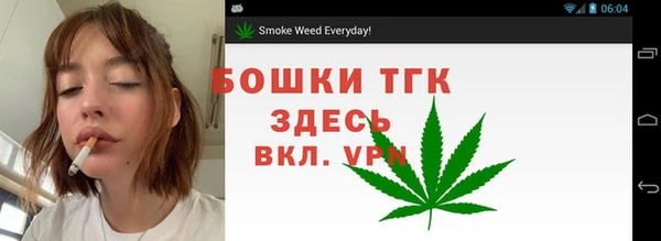 PSILOCYBIN Верхний Тагил