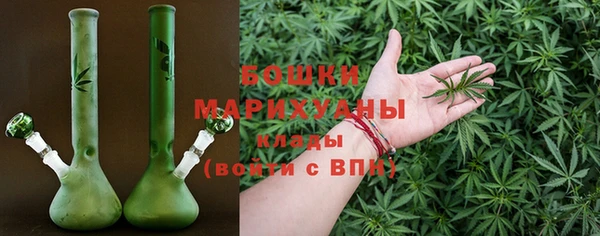 PSILOCYBIN Верхний Тагил